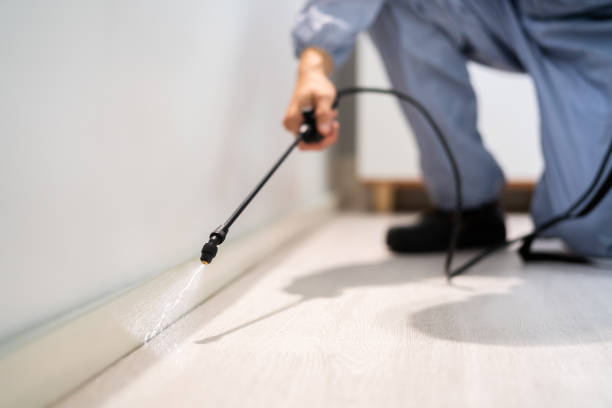Licensed Cockroach Control service in Evans County County, GA - Nex Pest Control