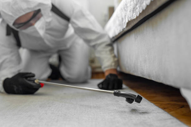 Professional Cockroach Control technician working in Evans County County, GA